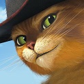 Avatar do usuário