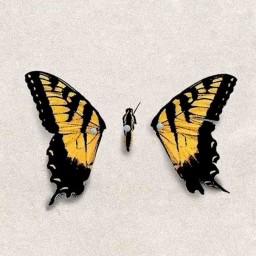 Avatar do usuário